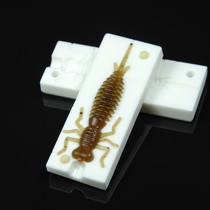 Larva 1.6″ (40 мм)